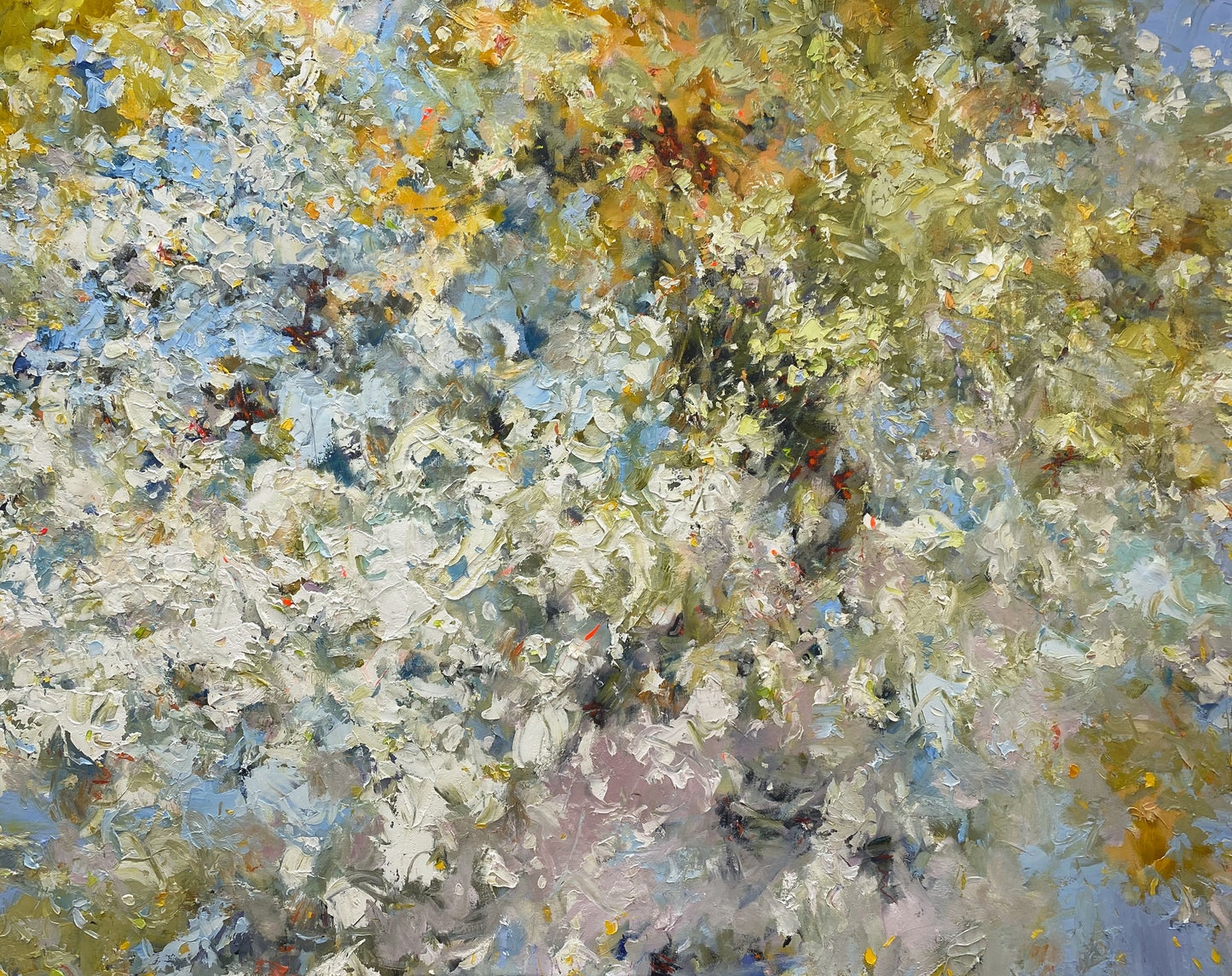 Dappled Light